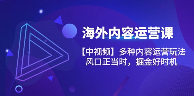 海外内容运营课【中视频】多种内容运营玩法 风口正当时 掘金好时机（101节）-白芸资源网