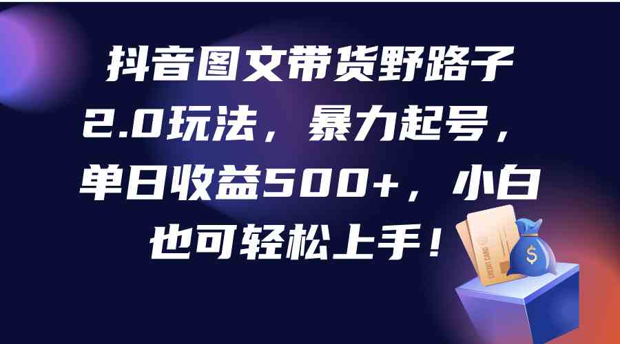 （9790期）抖音图文带货野路子2.0玩法，暴力起号，单日收益500+，小白也可轻松上手！-白芸资源网