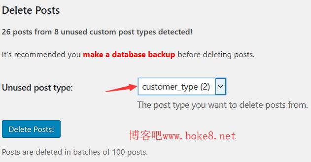 删除wordpress自定义文章类型文章数据插件Custom Post Type Cleanup-白芸资源网