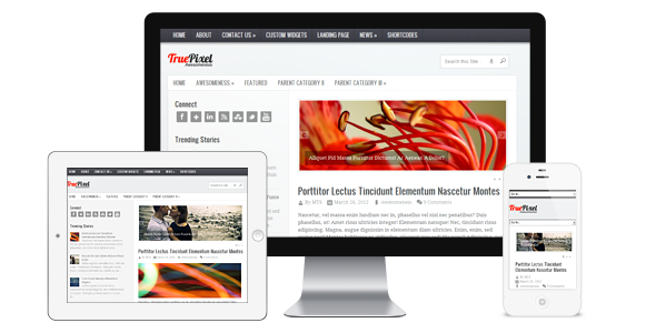 响应式wordpress博客主题TruePixel-白芸资源网