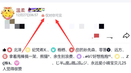 QQ动态 仅对你可见 代码分享-白芸资源网