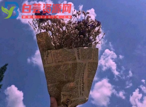 100个超温柔的高质量文案短句-白芸资源网