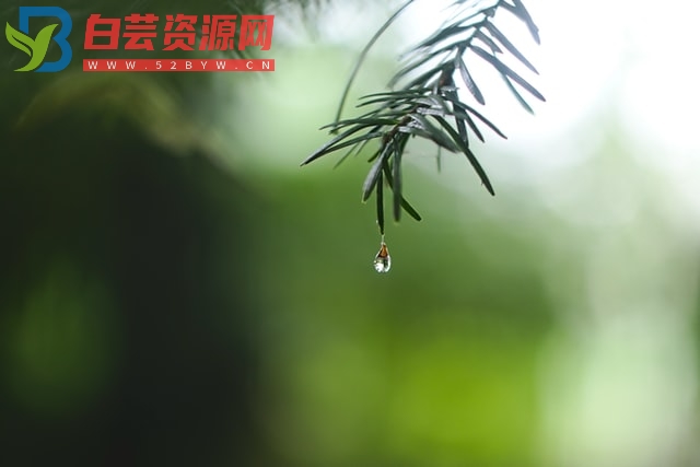 100个雨水节气文案句子-白芸资源网