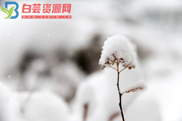 下雪天温暖的文案句子-白芸资源网