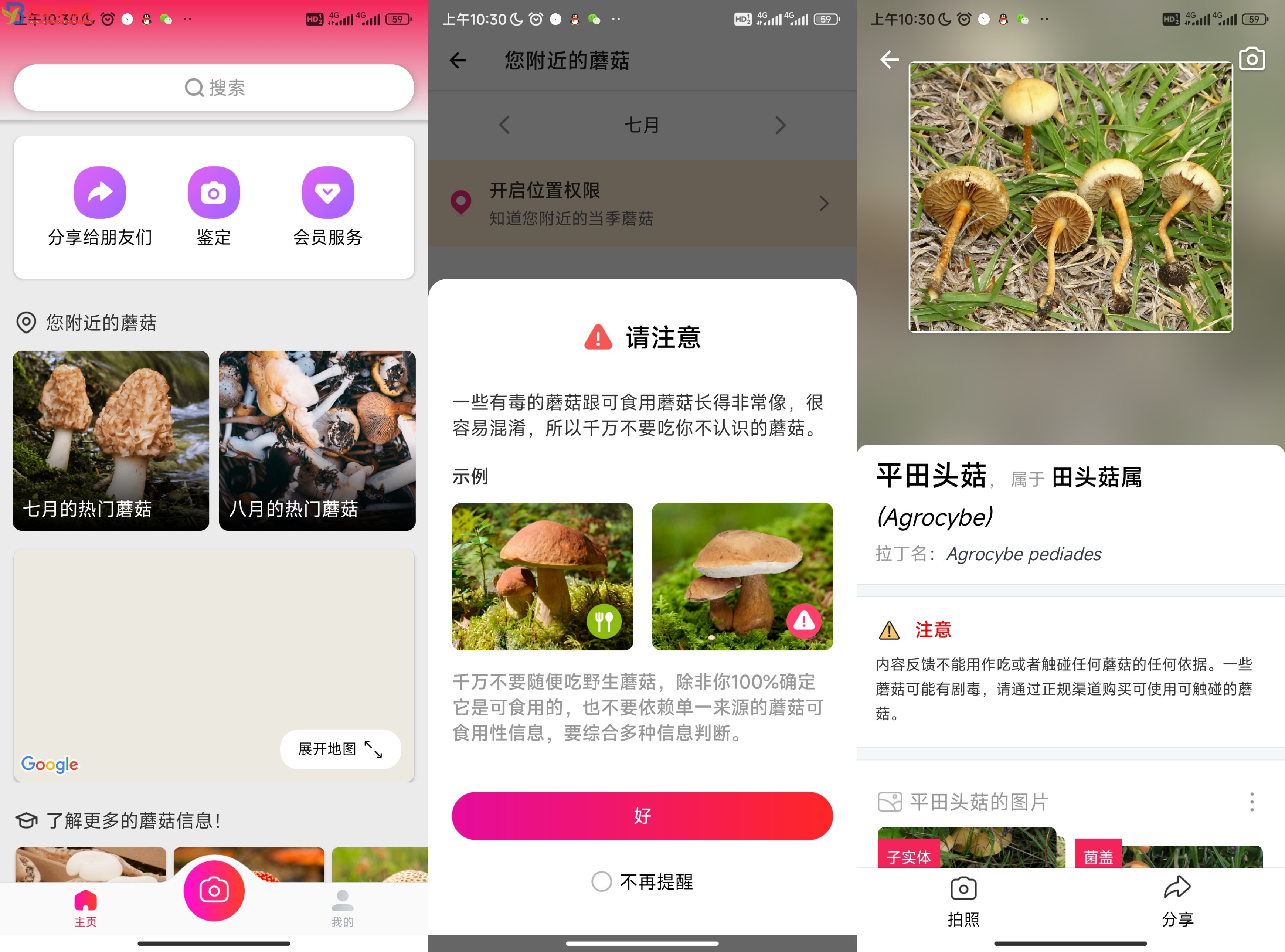 你不中毒的神器 蘑菇识别APP-白芸资源网