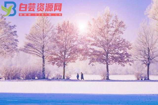 关于大雪的文案短句合集-白芸资源网