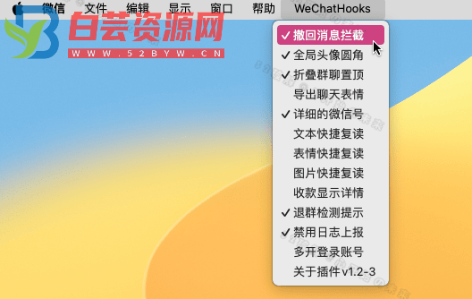 微信防撤回多开工具WeChatHooks v1.2-3，支持撤回提示+退群检测+消息复读等常用功能-白芸资源网