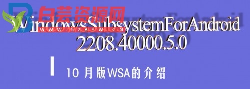 微软WSA安卓子系统公开版2208.40000.5.0-白芸资源网