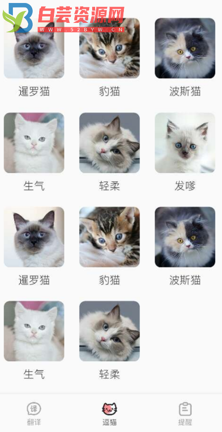 猫语翻译君 猫主子说的话可以转人声，你的声音也可以转成猫猫听得懂的猫语。-白芸资源网