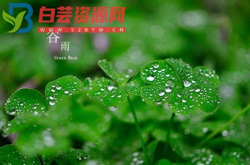 谷雨节气祝福语大全-白芸资源网