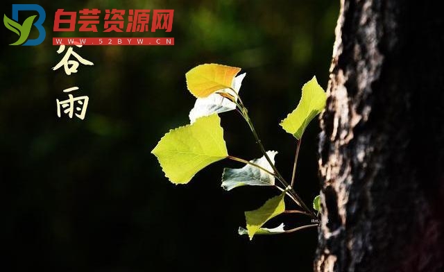 谷雨节气诗词35首-白芸资源网