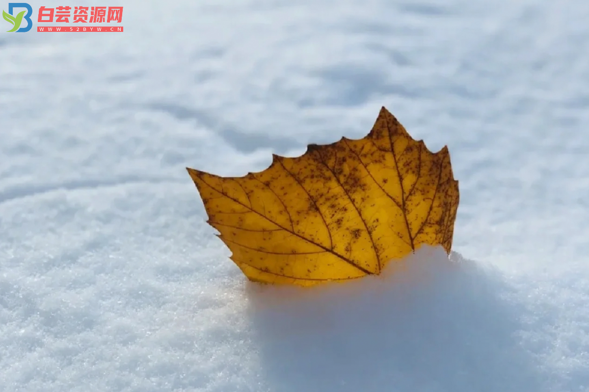 那些关于冬天的高质量文案-白芸资源网