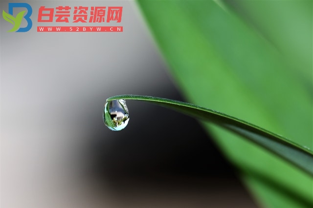 那些美好的谷雨文案短句-白芸资源网