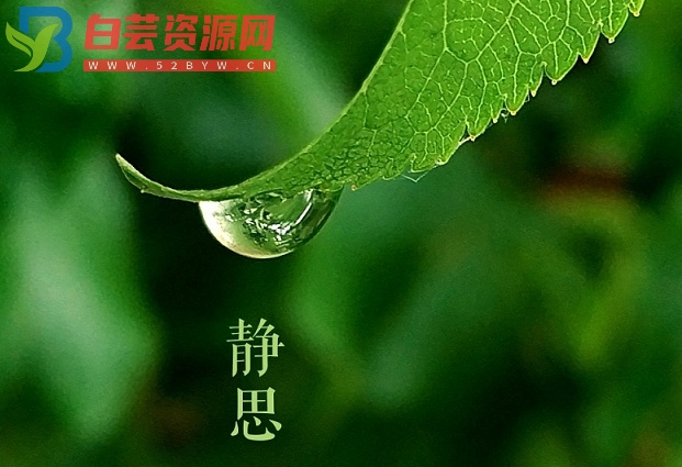 雨水节气文案：一朝春雨，万物清明-白芸资源网