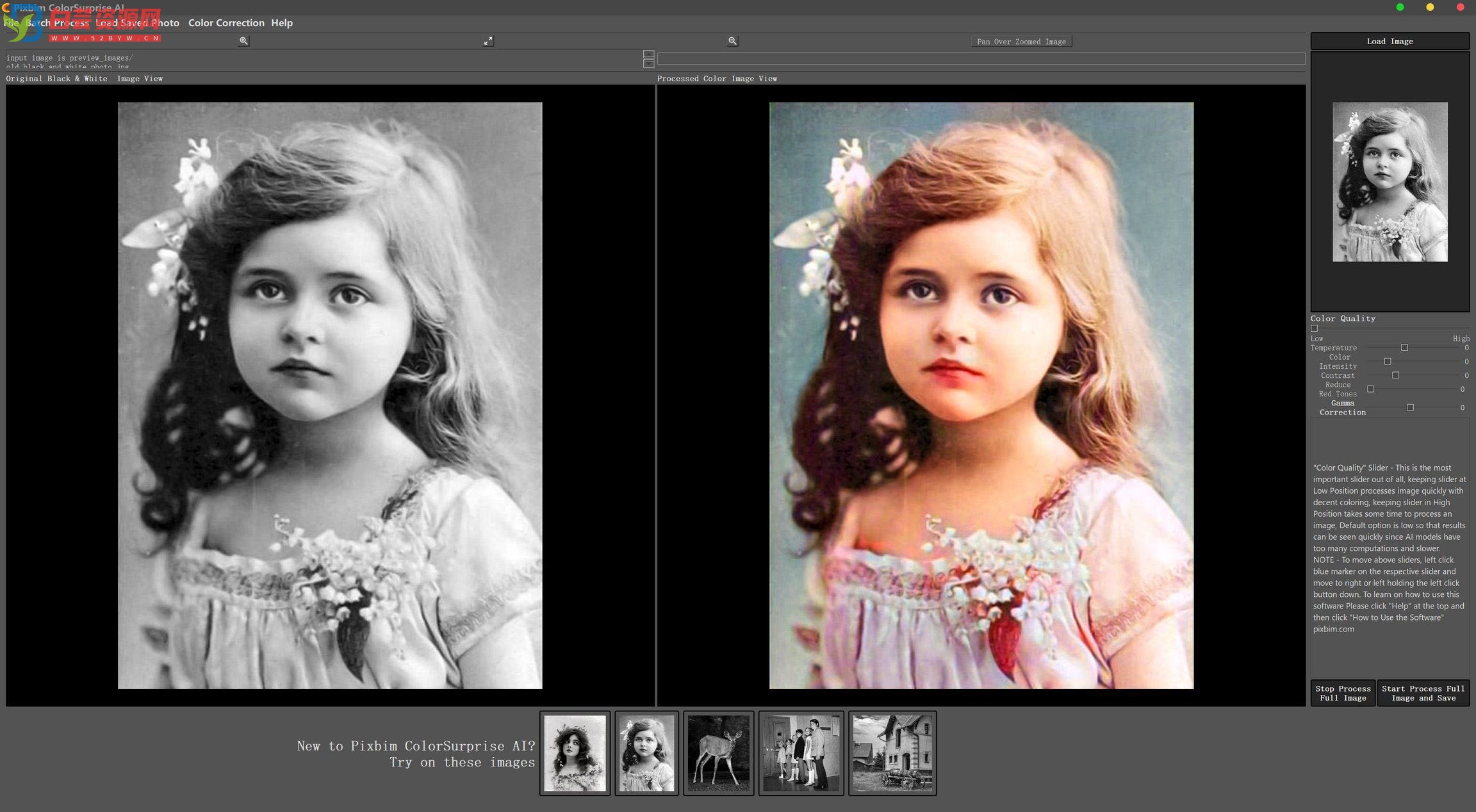 黑白照智能上色绿色Pixbim Color Surprise AI 3.9.0便携版-白芸资源网