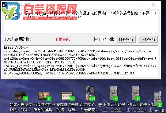PC抖音视频无水印解析下载一键秒下-白芸资源网