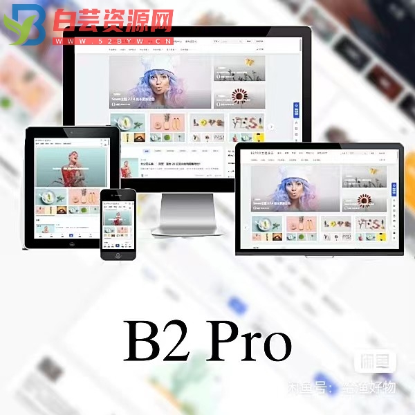 WordPress B2 Pro 主题5.2.0最新开心版,附带官方包体与授权文件-白芸资源网