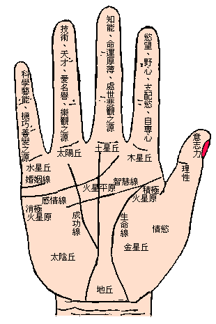 旦那と私の生命线-白芸资源网