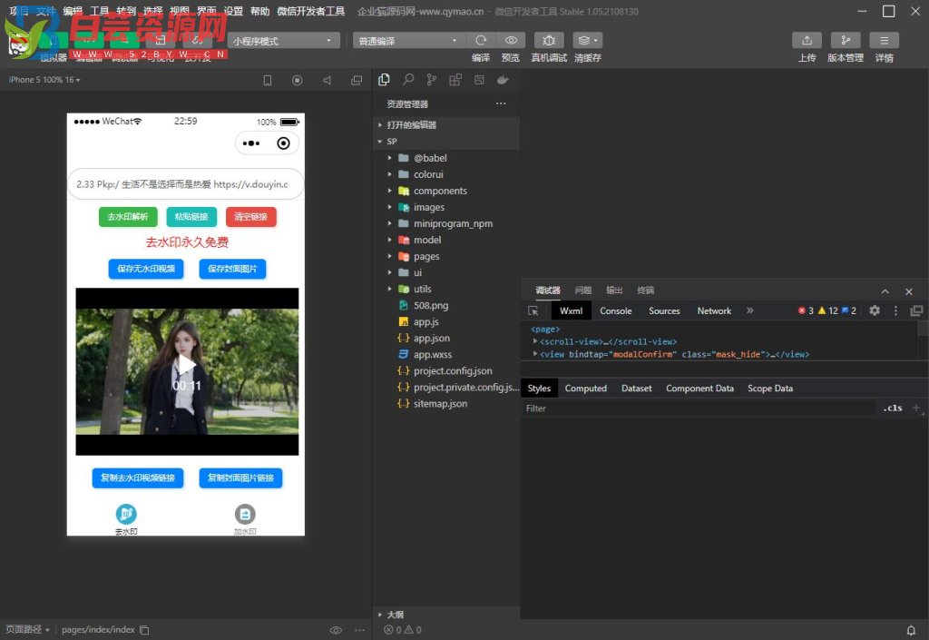 短视频去水印和图片加水印生成微信小程序源码-白芸资源网