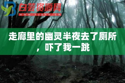 走廊里的幽灵半夜去了厕所，吓了我一跳-白芸资源网