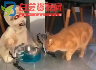 都市传说《猫食》-白芸资源网