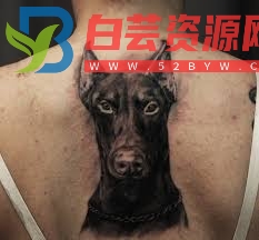 都市传说欧美系列《窒息的杜宾犬》-白芸资源网